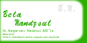 bela mandzsul business card